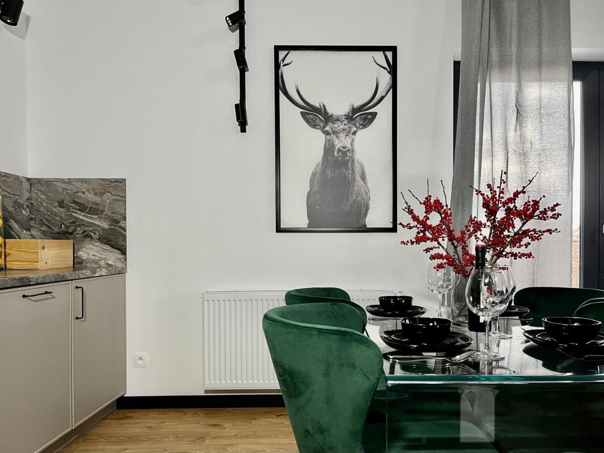 Apartamenty Maxa Czornyja Jelenia Gora Ngoại thất bức ảnh